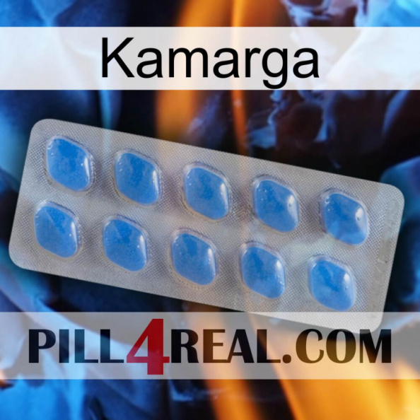 Kamarga 22.jpg